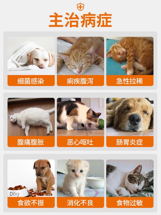 普安特宠物胃肠道炎症感染狗狗猫咪呕吐腹泻拉稀抗菌专用药硫酸新霉素片 商品图2