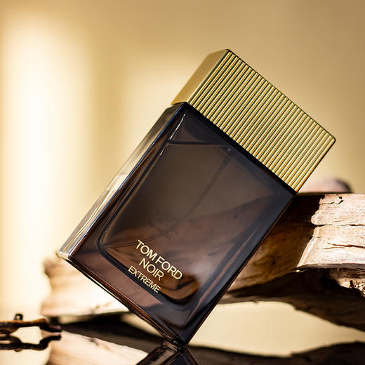 汤姆·福特 极致暗黑 Tom Ford Noir Extreme 分装 商品图2