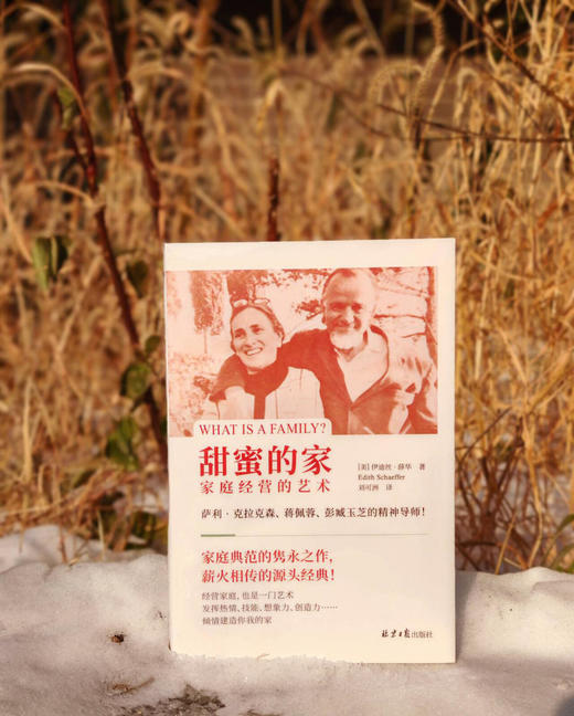 新书《甜蜜的家：家庭经营的艺术》 商品图2