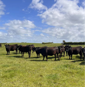  在这个梅雨季节，就让我来陪陪你吧！ 