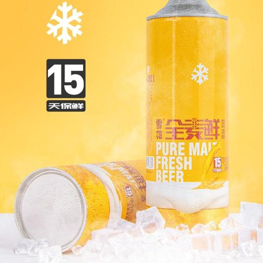 雪花全麦鲜11度啤酒1L/瓶 商品图1