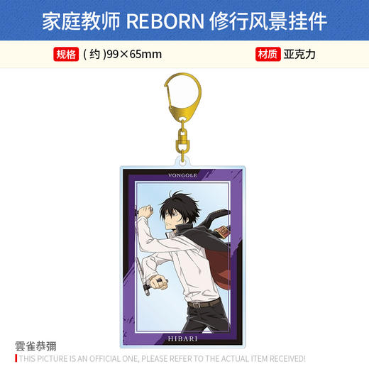 日本正版 家庭教师REBORN 修行风景挂件泽田纲吉狱寺隼人周边谷子 商品图1