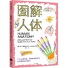 中信出版 | 图解人体 肯·阿什威尔著 商品缩略图1