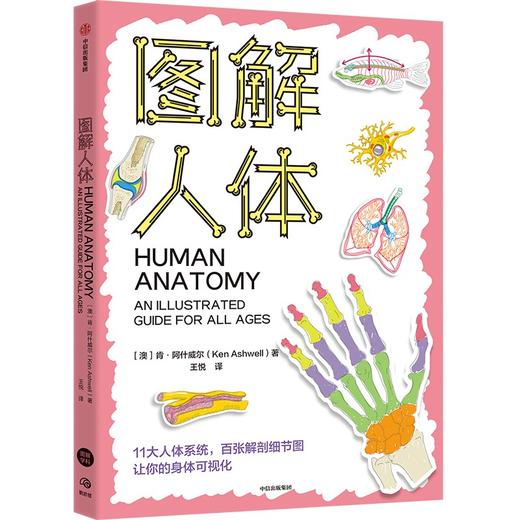 中信出版 | 图解人体 肯·阿什威尔著 商品图1