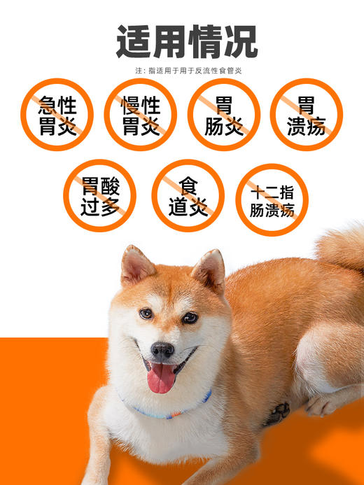 普安特普西丁狗狗呕黄水呕吐宠物肠胃病吐黄水白沫调理肠胃 西咪替丁片1盒 商品图1