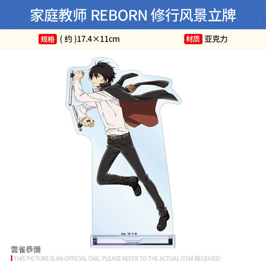 日本正版家庭教师REBORN修行风景立牌纲吉狱寺云雀六道骸周边谷子 商品图3