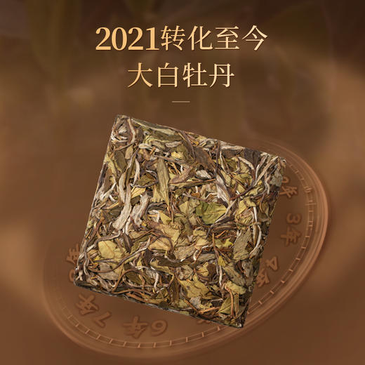 懂茶帝-福鼎白茶吴洋山2021年荒野大白（白牡丹）100g/砖 商品图1