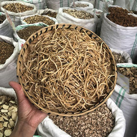 云南小百部  云南野生小百部