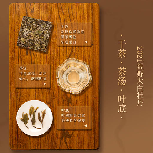 懂茶帝-福鼎白茶吴洋山2021年荒野大白（白牡丹）100g/砖 商品图3