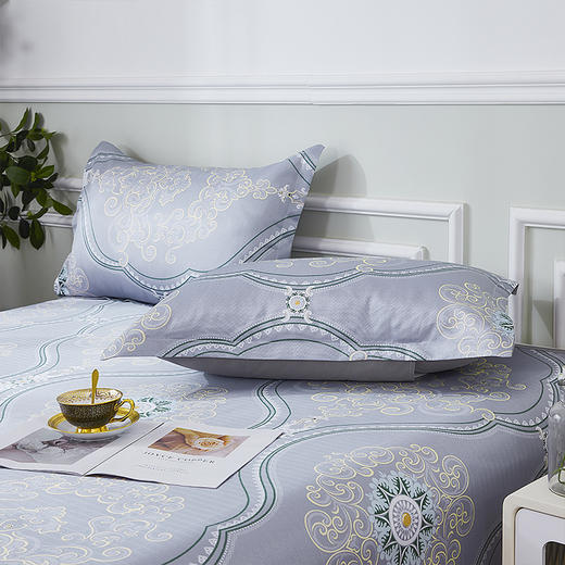 红蜻蜓家纺夏天凉席冰丝席三件套单双人通用可机洗席子夏季宿舍用-简欧 席子/230*250cm 商品图2