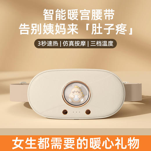 六竖暖宫带N9 商品图0