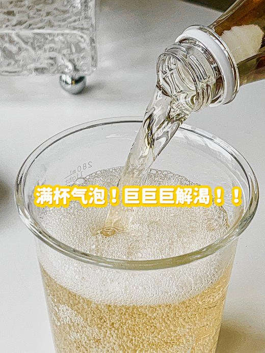 黄亦玫同款气泡水！【别样泡泡气泡茶】解腻开胃 连续三年荣获国际美味大奖 大餐的神器伴侣 喝出高级感~ 商品图3