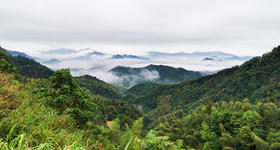  谦益农业诚招区域合伙人，首批开放5名！ 