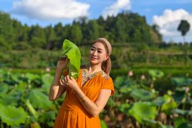 #买家秀分享—“和铃”悠扬，荷香四溢醉心田