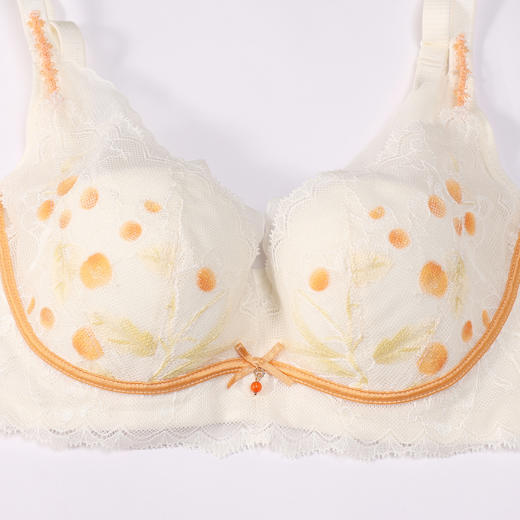都市丽人内衣自然舒适常规文胸蕾丝超薄文胸3/4杯三排扣软钢圈LBT2P2 商品图8