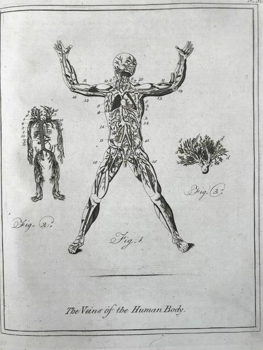 1789年 卡尔佩珀《英国医生与药草全书》 450余幅版画插图 漆布精装16开 商品图13