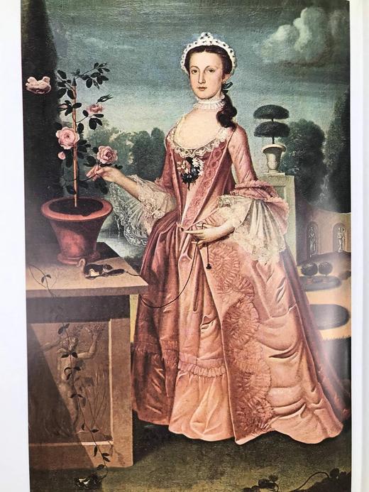 美国绘画天才图集 64幅彩色270幅黑白插图 精装大16开 商品图11