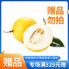 赠品勿拍（满329元）：百果园 金美人蜜瓜（中） 商品缩略图0