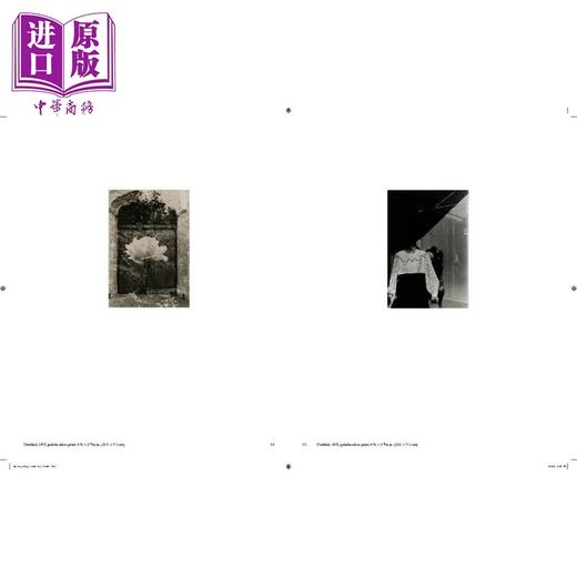 预售 【中商原版】Jay DeFeo: Photographic Work 进口艺术 杰伊德费奥摄影作品 商品图3