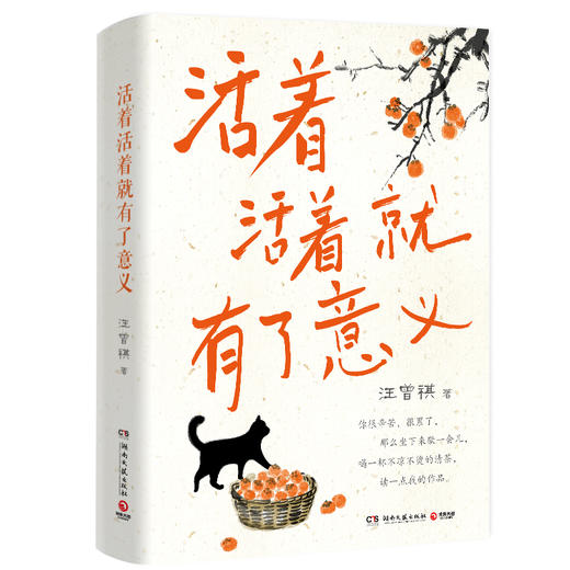 活着活着就有了意义 商品图0