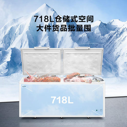 海尔（Haier）718升卧式商用家用冰柜 商用大容量冷藏柜大冷冻柜冰柜家用大冷柜BC/BD-718GHEPD  JD 商品图4