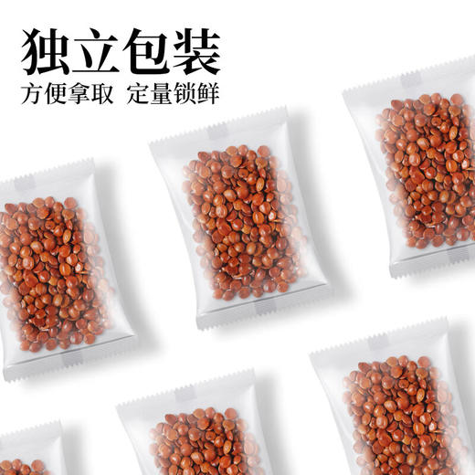 神农金康 炒熟酸枣仁30g /.罐 原生态真滋补喝护家人健康 商品图4