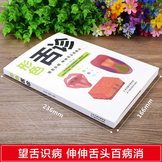 形色舌诊 中医舌诊完全图解临床图谱书籍 中医入门保健养生健康 商品图1
