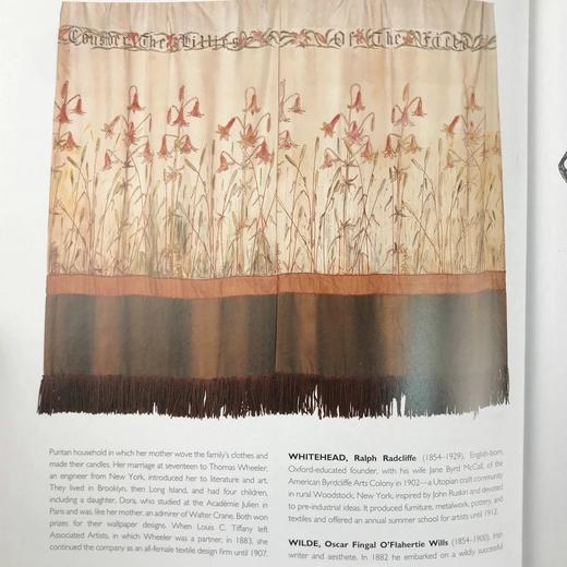 艺术与工艺指南 250幅彩色50幅黑白插图 精装16开 商品图13