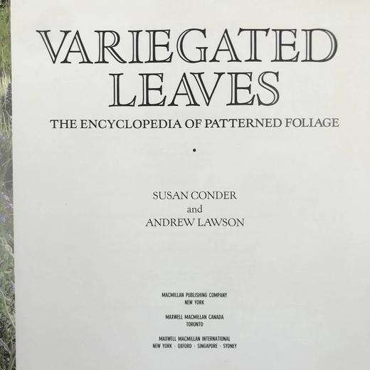 斑叶百科全书 数百幅彩色插图 精装16开 商品图3