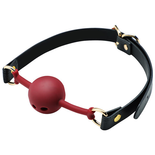 【谜姬】 ebde-可拆卸口塞SM另类玩具调教成人情趣玩具性爱 商品图4