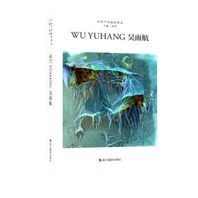 中国当代摄影图录 吴雨航
