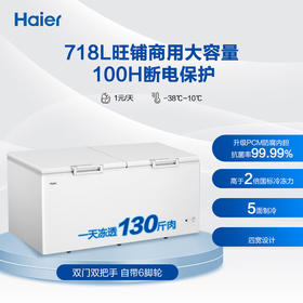 海尔（Haier）718升卧式商用家用冰柜 商用大容量冷藏柜大冷冻柜冰柜家用大冷柜BC/BD-718GHEPD  JD