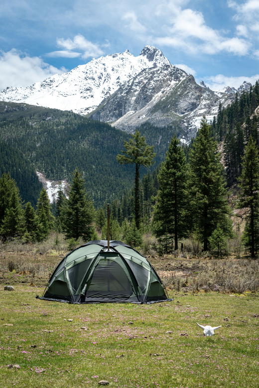 POMOLY Dome X6 Pro帐篷 商品图3