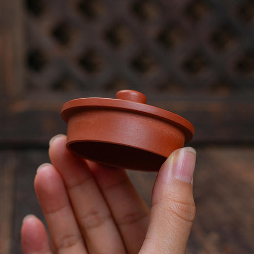 汤建林 3号蕴之壶 原矿小红泥 宜兴紫砂原矿茶壶紫砂壶功夫茶泡茶壶茶具仿古 商品图5