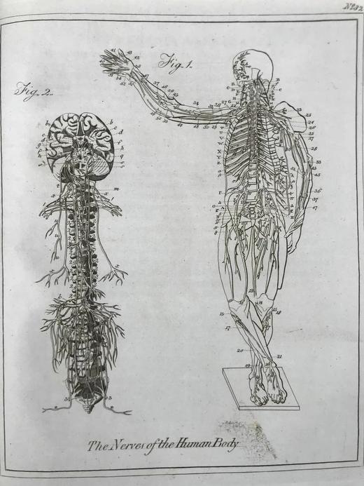 1789年 卡尔佩珀《英国医生与药草全书》 450余幅版画插图 漆布精装16开 商品图14
