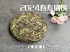 【好茶来了】花香更艳，等级和香气、滋味都更胜往年的2024春寿眉饼《桂兰渚》 商品缩略图2