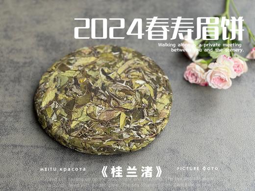【好茶来了】花香更艳，等级和香气、滋味都更胜往年的2024春寿眉饼《桂兰渚》 商品图2
