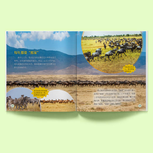《了不起的动物朋友》（全20册） 商品图2