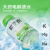 小杨臻选 100%椰子水 0脂天然电解质饮品 245ml*10瓶 NFC纯椰水 商品缩略图3