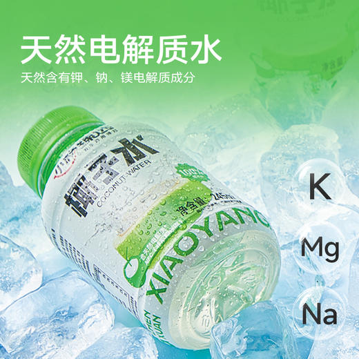 小杨臻选 100%椰子水 0脂天然电解质饮品 245ml*10瓶 NFC纯椰水 商品图3