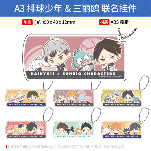 A3日本正版 排球少年&三丽鸥联名挂件立牌 周边谷子 商品图0