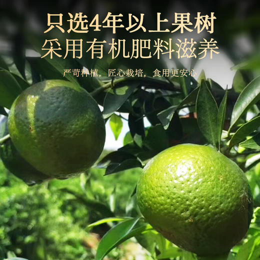 【秒杀】杞里香陈皮90g(45g*2罐) 商品图3