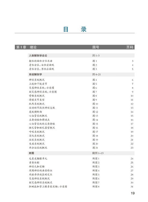 奈特人体解剖学彩色图谱 第8版八版 人卫彩色局部耐特系统格氏骨骼结构神经临床基础教材生理外科内科法医解刨解破医学类医学书籍解剖图谱 第7版第六版升级人民卫生出版社9787117350440 商品图3