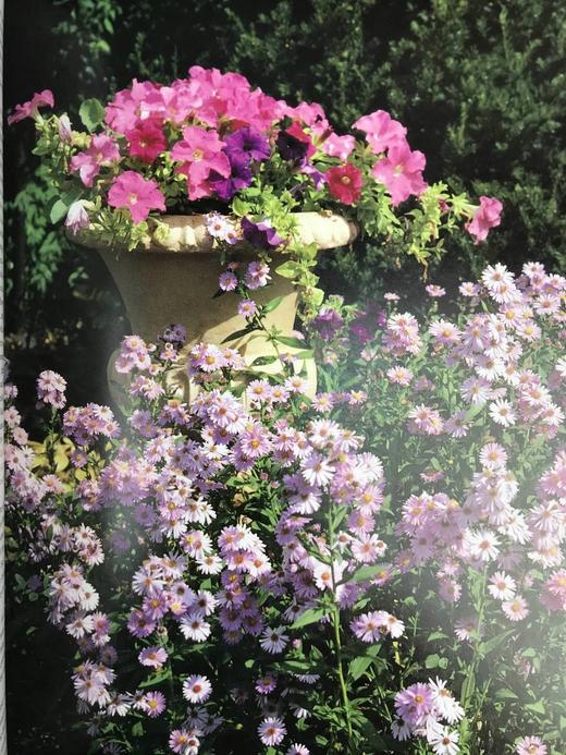 西班牙园林图集 200幅彩色插图 精装大16开 商品图10