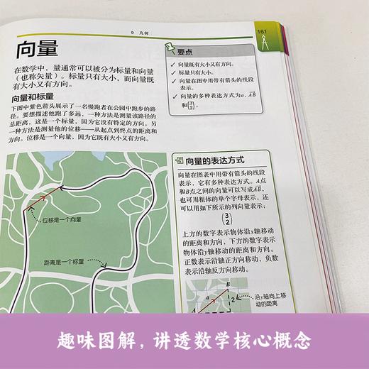 DK图解物理、图解数学进阶版 中小学物理 数学 图解清晰 商品图1