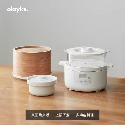 olayks欧莱克电饭煲家用2L多功能快速煮饭1一2人迷你小型电饭锅 心选到家 商品图6