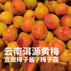 【高山现采发货较慢】云南高山准野放青梅/黄梅7月初 大理洱源产 树龄40年左右 海拔2500米森林 自然熟 5斤装 现采现摘 云南产地圆通发货（按订单顺序发货时效72小时，采摘后运下山发货，雨天延迟） 商品缩略图0