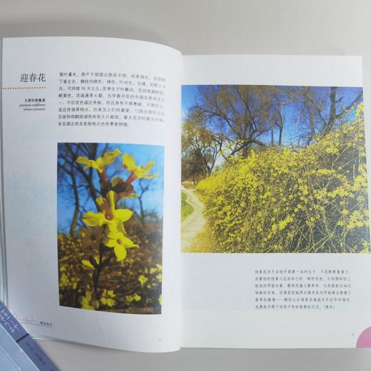 燕园草木(普及本) 许智宏，顾红雅 著 北京大学出版社 商品图4