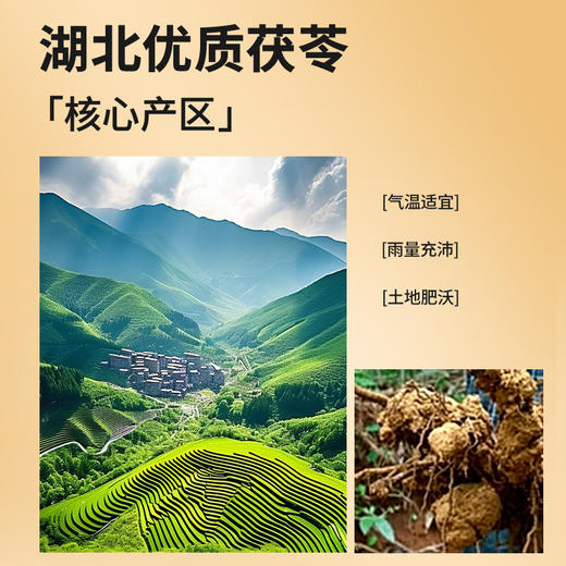 【99元任选3件】【正宗同仁堂品牌】北京同仁堂 茯苓 130克 低温晾晒 拒绝熏硫 块块饱满SY 商品图4