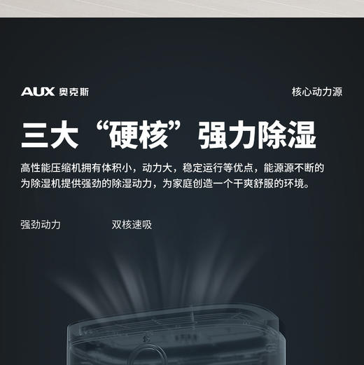 奥克斯 除湿机家用抽湿吸湿室内干燥除潮大功率地下除湿神器DP22A 商品图1